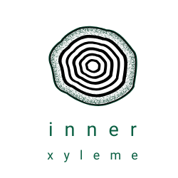 Inner Xyleme